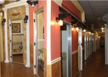 Fort Lauderdale Pet Grooming Barkers Pet Center