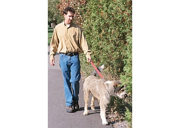 Barking Buddies Dog Walking and Pet Care - Stockton, CA Dog Walkers - Job Site Image