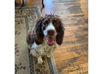 Barks & Blooms