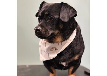 Carrollton Pet Grooming Barks n Bubbles LLC