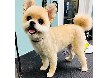 Carrollton Pet Grooming Barks n Bubbles LLC