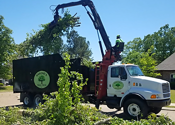 Barone's Tree Pros LLC Jackson Tree Services image 1