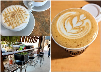 San Antonio Cafe Barrio Barista