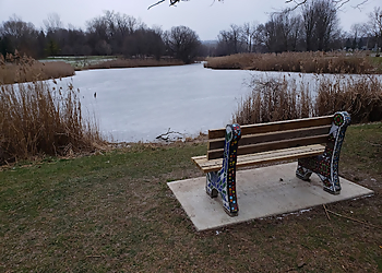 Syracuse Public Parks Barry Park