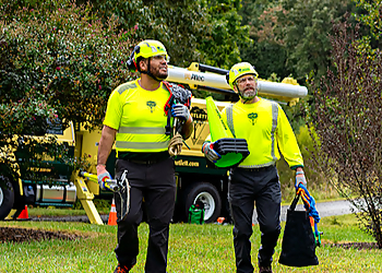 Augusta Tree Services Bartlett Tree Experts