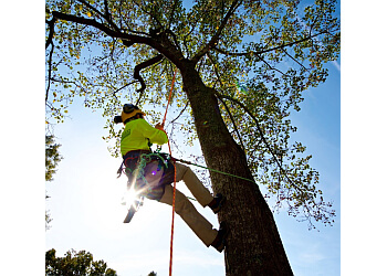 Bartlett Tree Experts Bartlett Tree Experts