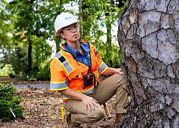 Syracuse Tree Services Bartlett Tree Experts