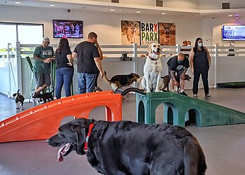 Las Vegas Dog Training Barx Parx