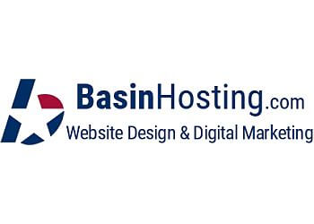 Basin Hosting & Web Design