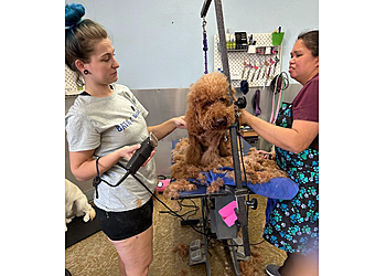 Sacramento Pet Grooming Bath & Biscuits