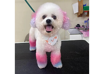 Bubbles Pet Spa