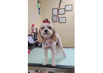 Birmingham Pet Grooming Baths Barks & Bubbles Pet Spa Inc.