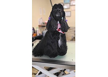 Baths Barks & Bubbles Pet Spa Inc. Birmingham Pet Grooming image 1