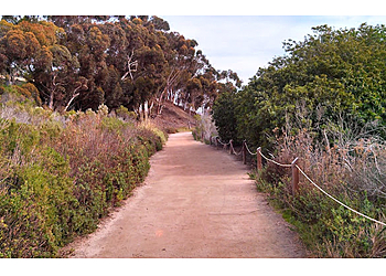 Carlsbad Hiking Trails Batiquitos Lagoon Foundation