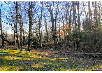 Washington Hiking Trails Battery Kemble Park