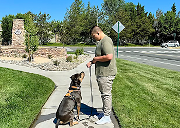 Battle Born Pet Care - Reno, NV Dog Walkers - Service Highlights
