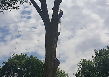Fort Wayne Tree Services Bauermeister Tree Service