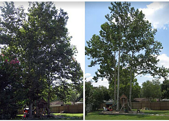 Fort Wayne tree service Bauermeister Tree Service