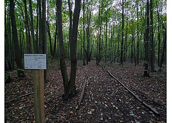 Detroit Hiking Trails Bauervic Woods Park
