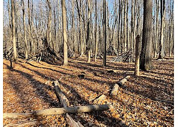 Detroit Hiking Trails Bauervic Woods Park