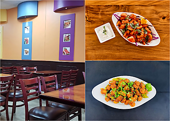 Bawarchi Indian Cuisine Irving - Irving, TX Indian Restaurants - collage image(highlights)