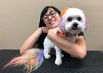 Lancaster Pet Grooming Baxter's Pet Grooming