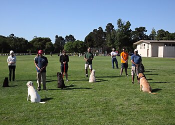 San Jose Dog Training Bay Area Dog Training