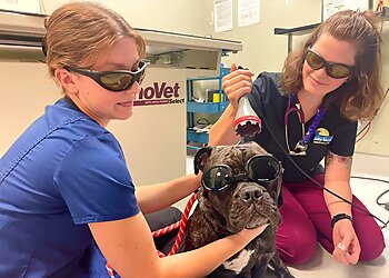 Virginia Beach Veterinary Clinics Bay Beach Veterinary Hospital