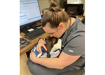 Virginia Beach Veterinary Clinics Bay Beach Veterinary Hospital