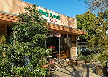 Concord Cafe Bay Leaf Cafe