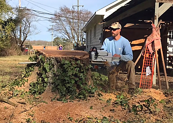 Norfolk Tree Services Bay Tree Care