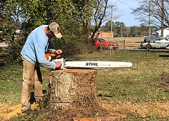 Bay Tree Care Norfolk Tree Services image 1
