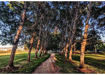 3 Best Hiking Trails in Sunnyvale, CA - Expert Recommendations
