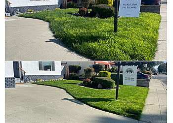 Fremont Lawn Care Services Bayleaf Lawn Care
