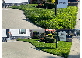 Bayleaf Lawn Care Fremont Lawn Care Services