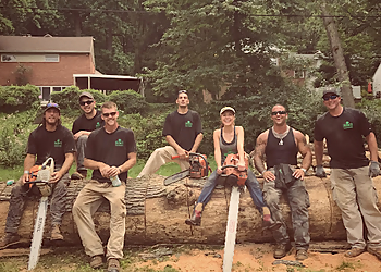 Allentown Tree Services Baylor’s Top Notch Tree Service