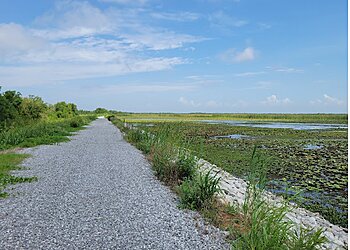 New Orleans Hiking Trails Bayou Sauvage Urban National Wildlife Refuge