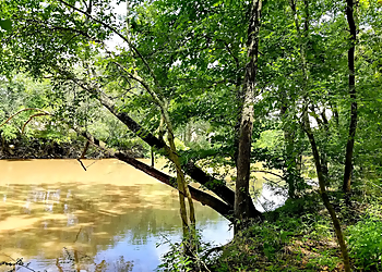 Bayou Vermilion Nature Trail - Lafayette, LA Hiking Trails - Scenic View Image