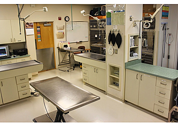 Miami Gardens Veterinary Clinics Bayshore Veterinary Clinic