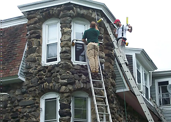 Boston Animal Removal Baystate Wildlife