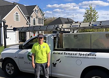 Boston Animal Removal Baystate Wildlife