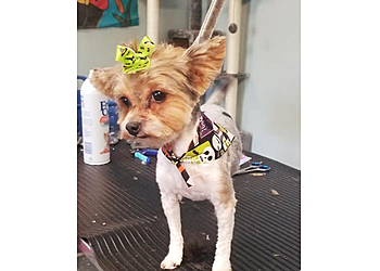 Norfolk Pet Grooming Bayview Pet Salon