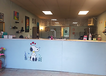 Bayview Pet Salon Norfolk Pet Grooming image 1