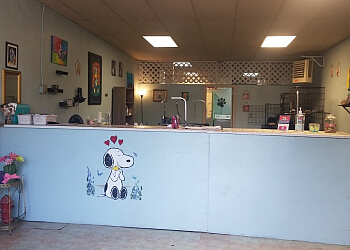 Bayview pet salon