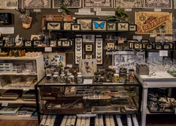 Baltimore Gift Shops Bazaar