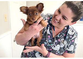 Midland Veterinary Clinics Baze Animal Clinic