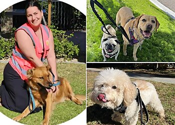 Chula Vista Dog Walkers BeLoved Pet Sitting