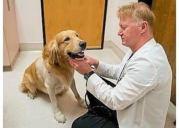 Fremont Veterinary Clinics Beacon Veterinary Specialists