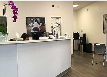 Fremont Veterinary Clinics Beacon Veterinary Specialists