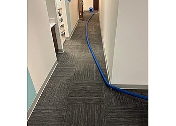 Albuquerque Carpet Cleaners Bear Carpet Inc.